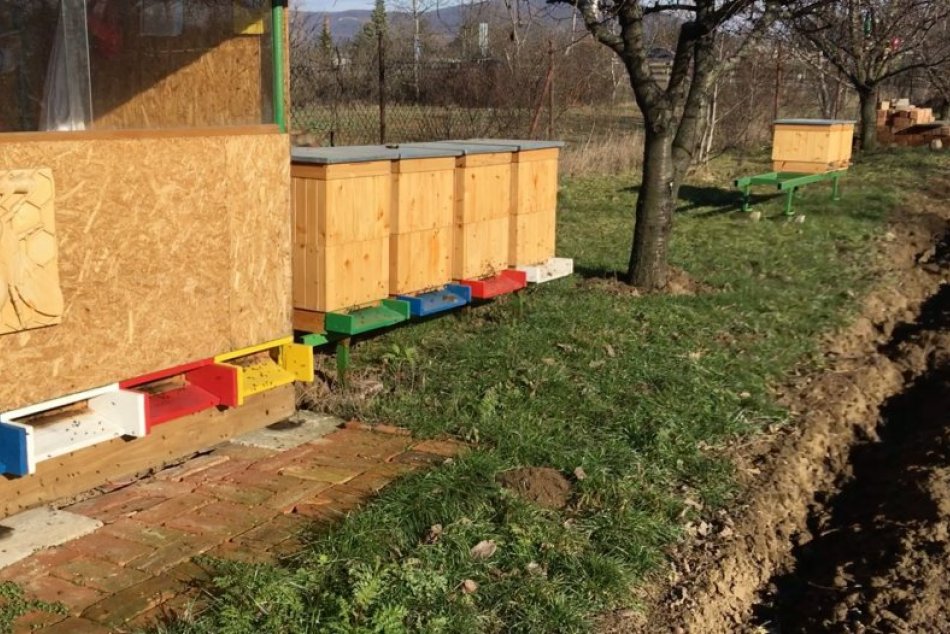 Včelárovi z Nitry mal niekto ukradnúť úle: Prípad vyšetruje polícia