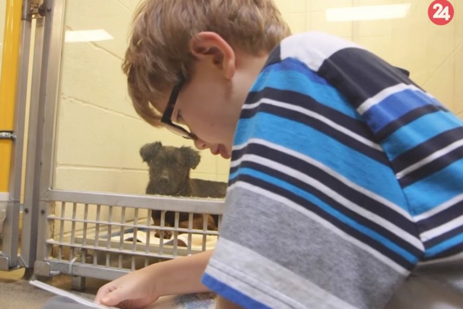 Deti čítajú psíkom v útulku