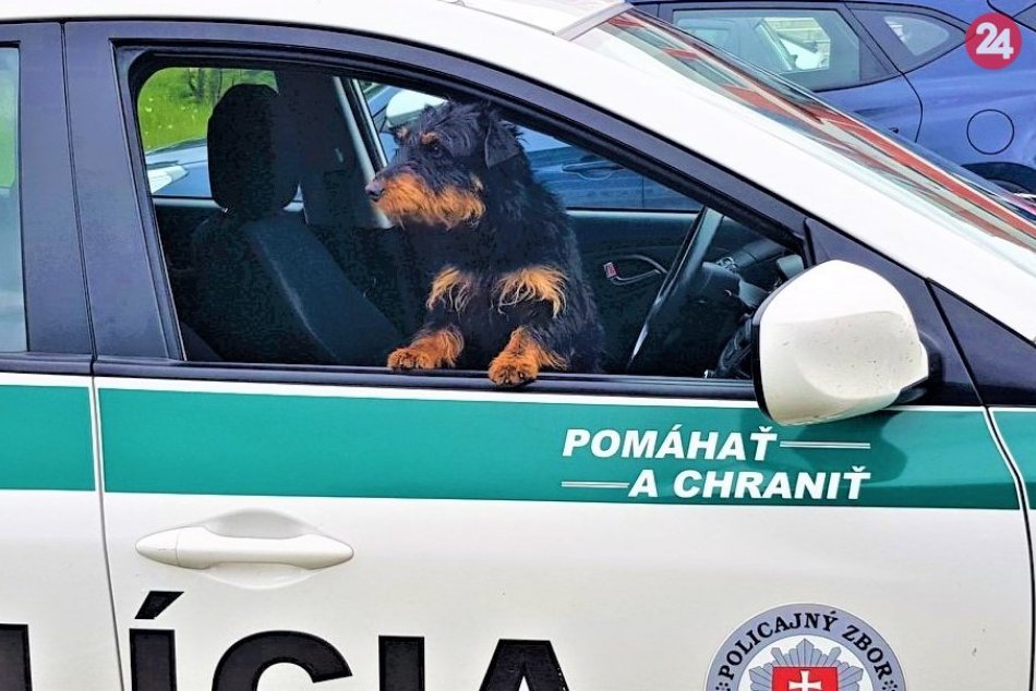FOTO: Stratená Mia si jazdu policajným autom užívala