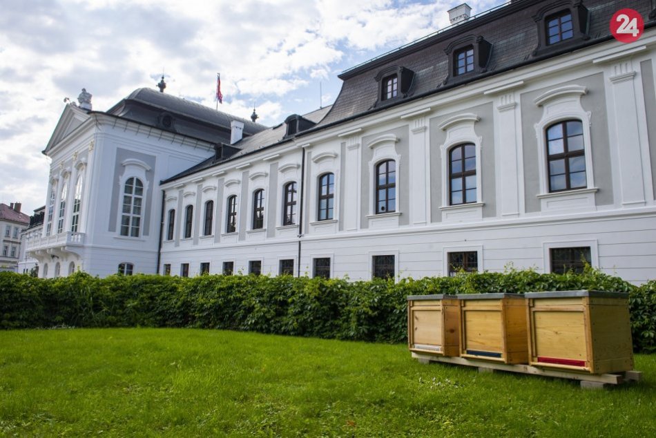 V záhrade za Prezidentským palácom sa zabývali včielky