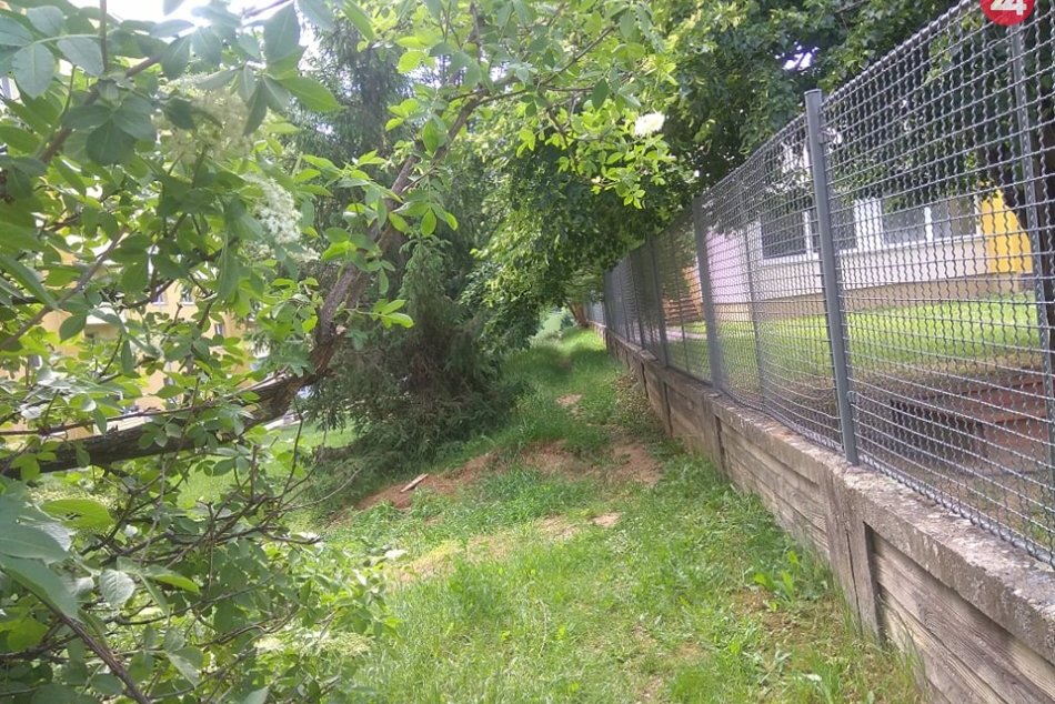 Kvôli koronakríze nestíhajú opiľovať dreviny: Mesto žiada o trpezlivosť