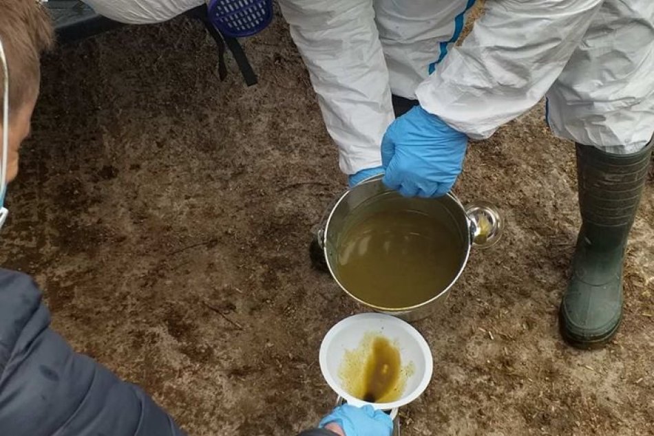 Podnikateľ Peter. K. má problém: Rieši ho enviropolícia