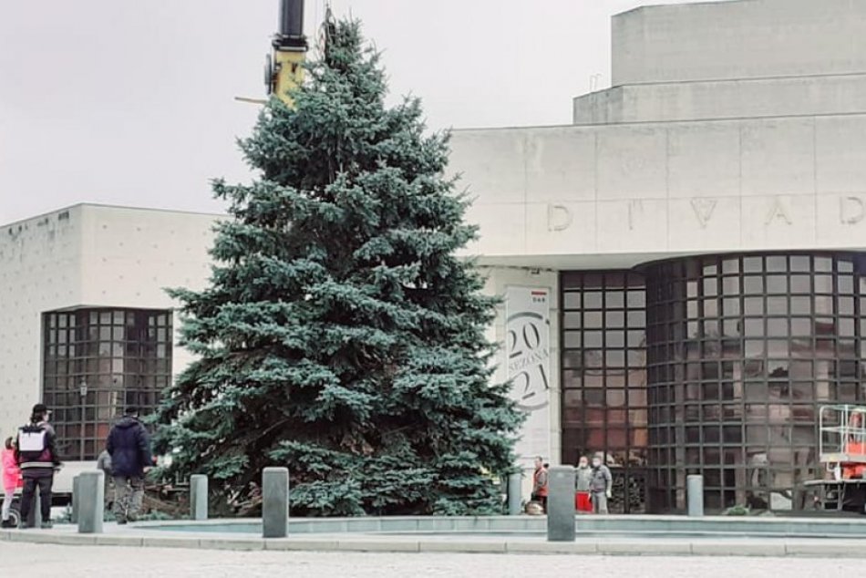 To je krása! Námestie v Nitre už zdobí vianočný stromček, FOTO