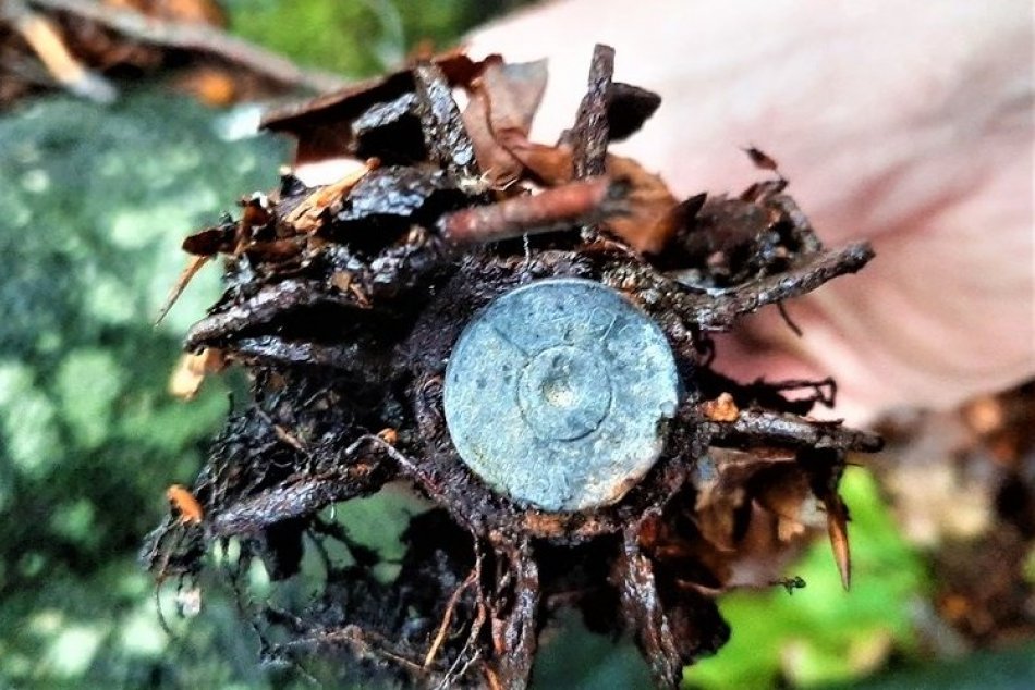 FOTO: V lese pri Valaskej Belej našiel muž granáty z druhej svetovej vojny