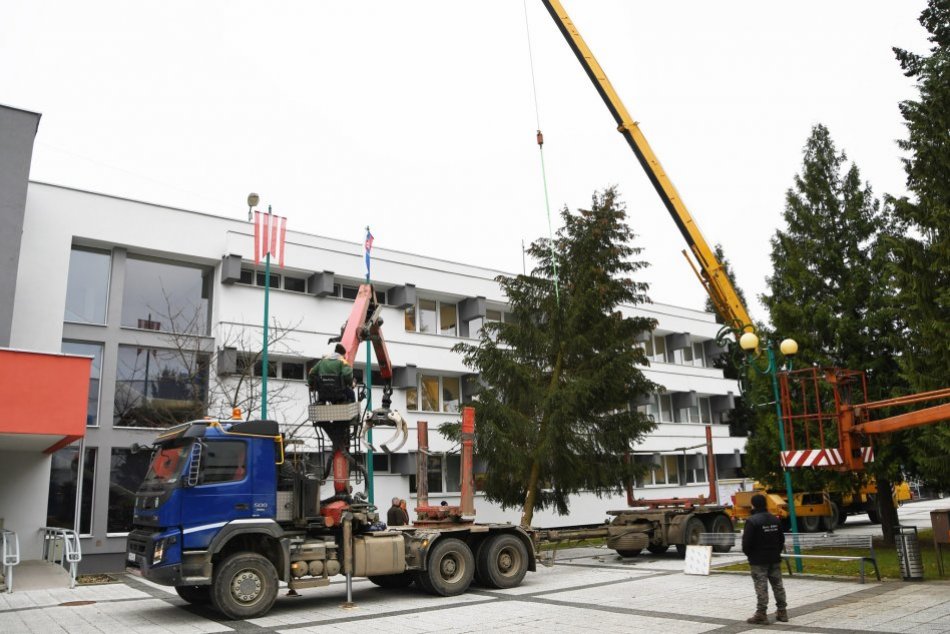 OBRAZOM: Vianočný stromček v Považskej Bystrici je osadený