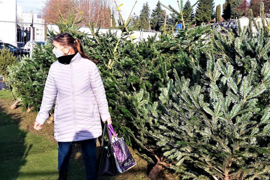 OBRAZOM: Predaj vianočných stromčekov v Považskej Bystrici