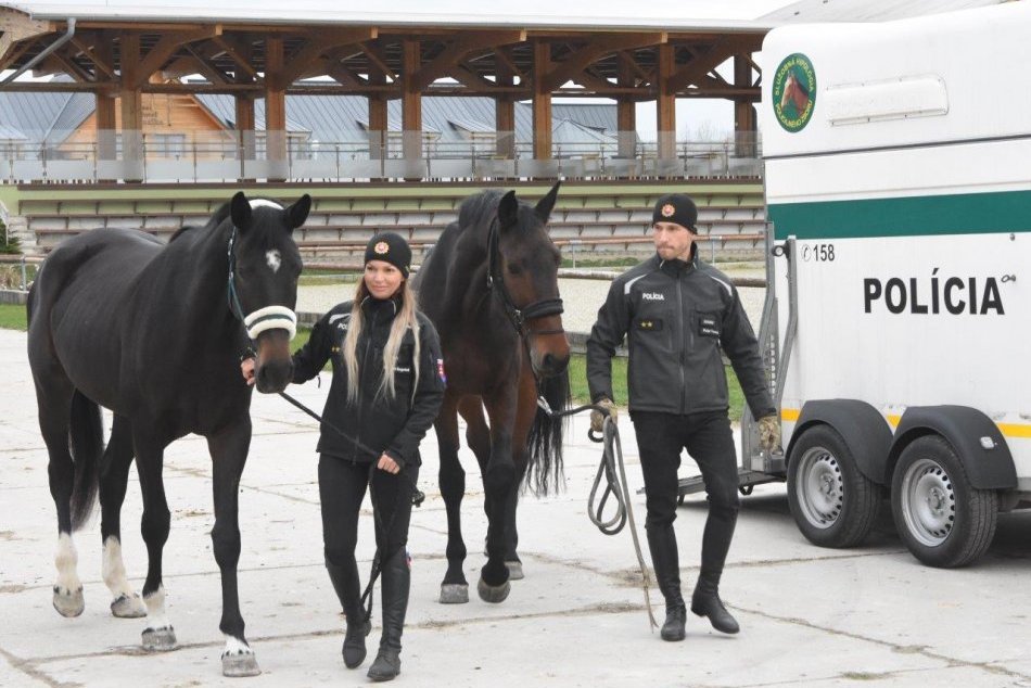 Jazdecká polícia má nové kone z Topoľčianok
