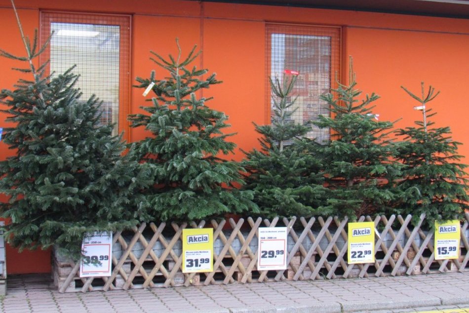 Obrazom: Predaj živých vianočných stromčekov v Prešove