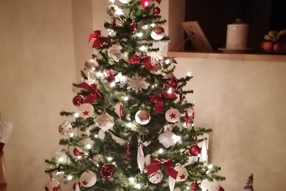 V OBRAZOCH: Zvolenčania sa pochválili krásnymi vianočnými stromčekmi