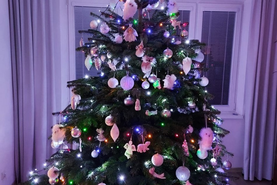 V OBRAZOCH: Lučenčania sa pochválili krásnymi vianočnými stromčekmi
