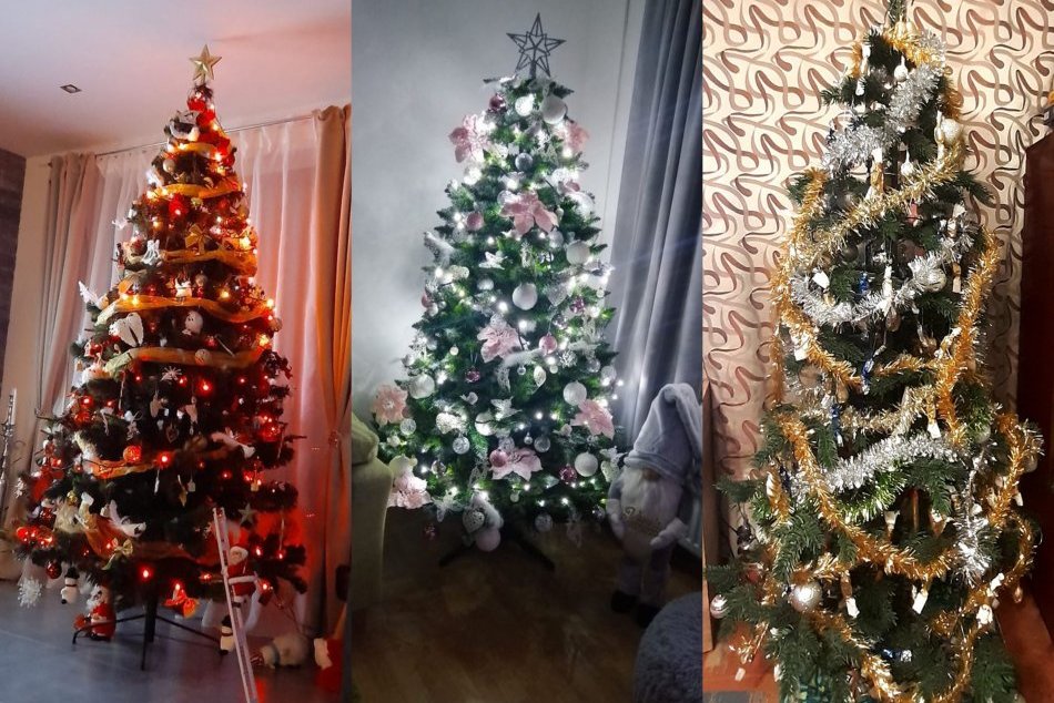 Obyvatelia Zlatých Moraviec sa pochválili krásnymi vianočnými stromčekmi