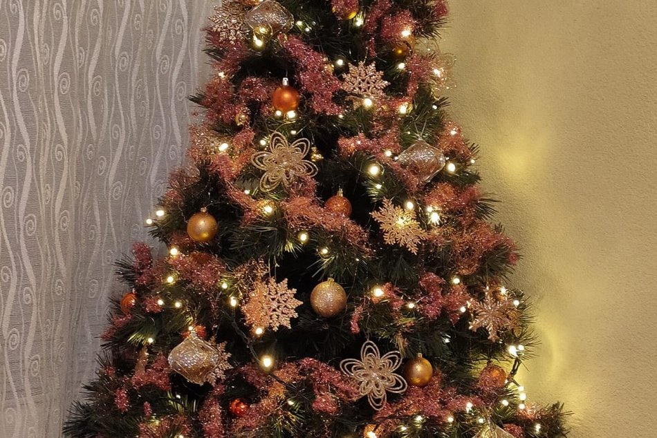 V OBRAZOCH: Bystričania sa pochválili krásnymi vianočnými stromčekmi
