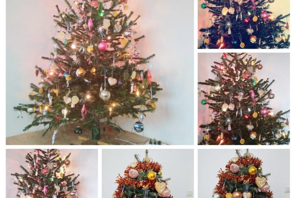 OBRAZOM: Vianočné stromčeky z Považskej Bystrice a okolia