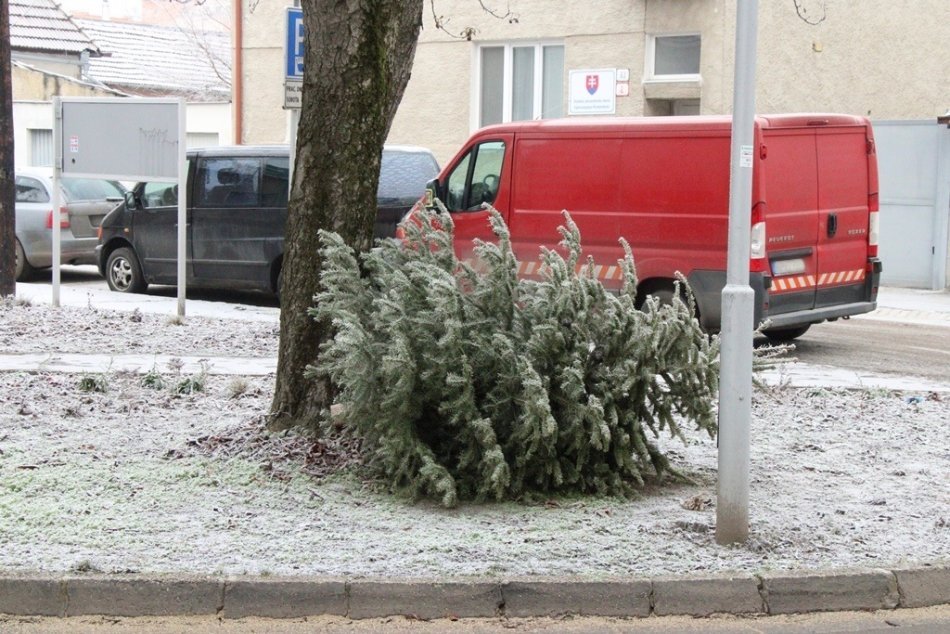 Vianočné stromčeky vyhodili na ulicu