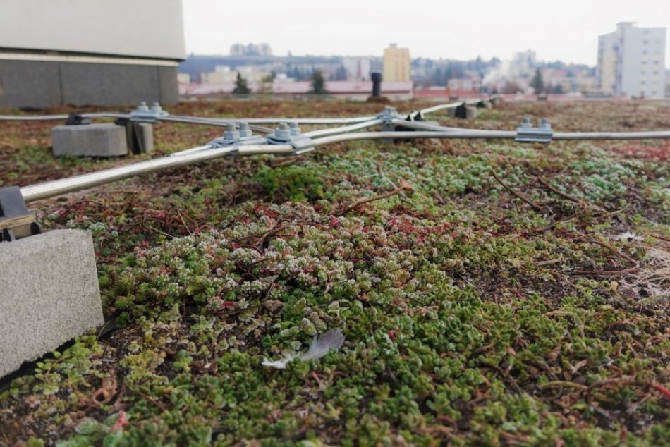 V OBRAZOCH: Mesto vybudovalo už druhú zelenú strechu