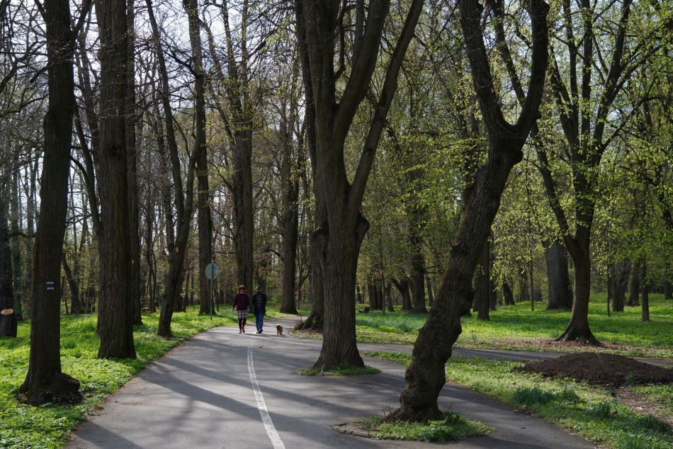 V OBRAZOCH: Mestský park v Lučenci v týchto dňoch láka ľudí