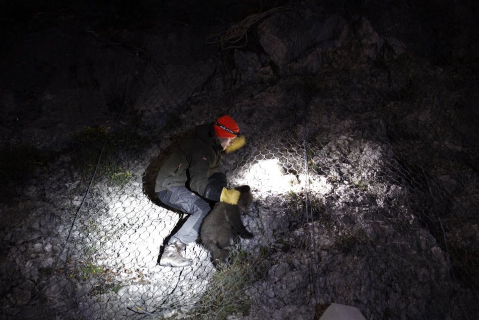OBRAZOM: Pri Bystrici zachránili mláďa medveďa, ktoré uviazlo na skalnom brale