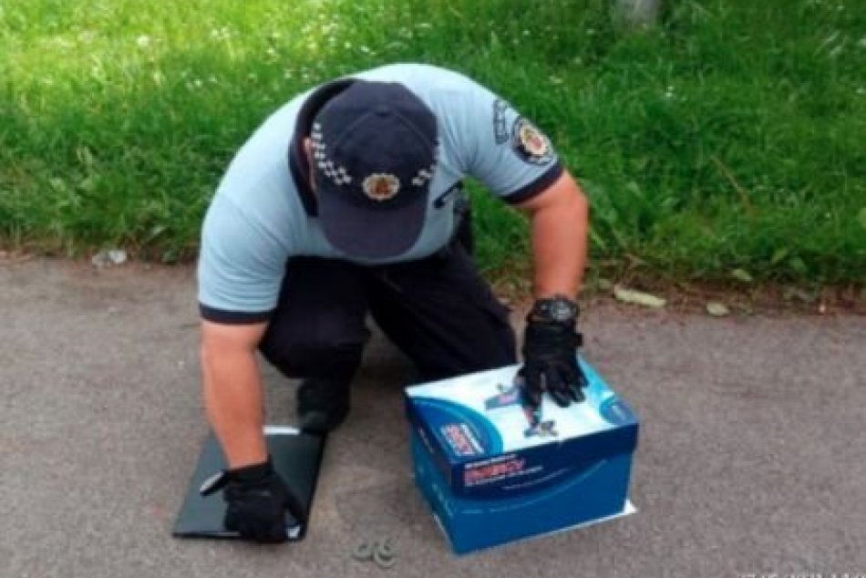 V OBRAZOCH: Mestskí policajti v Bystrici ratovali hada aj mláďa sovy