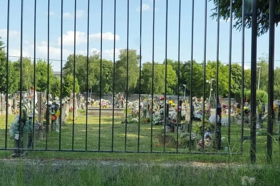 Zajac sa vybral na cintorín: Porušil zákaz vstupu zvieratám