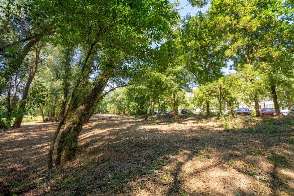 FOTO: V Trenčíne orezávajú stromy a vznikne poloprírodný park na Východnej ulici