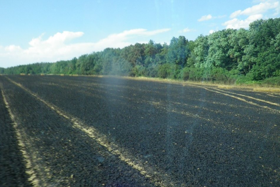 FOTO: Požiar obilia pri Pochabanoch likvidovalo viac ako 20 hasičov