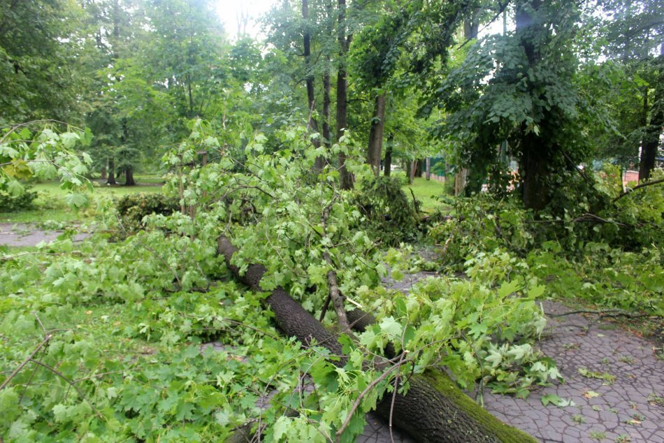 V OBRAZOCH: Nočná smršť v Mestskom parku vyvracala celé stromy