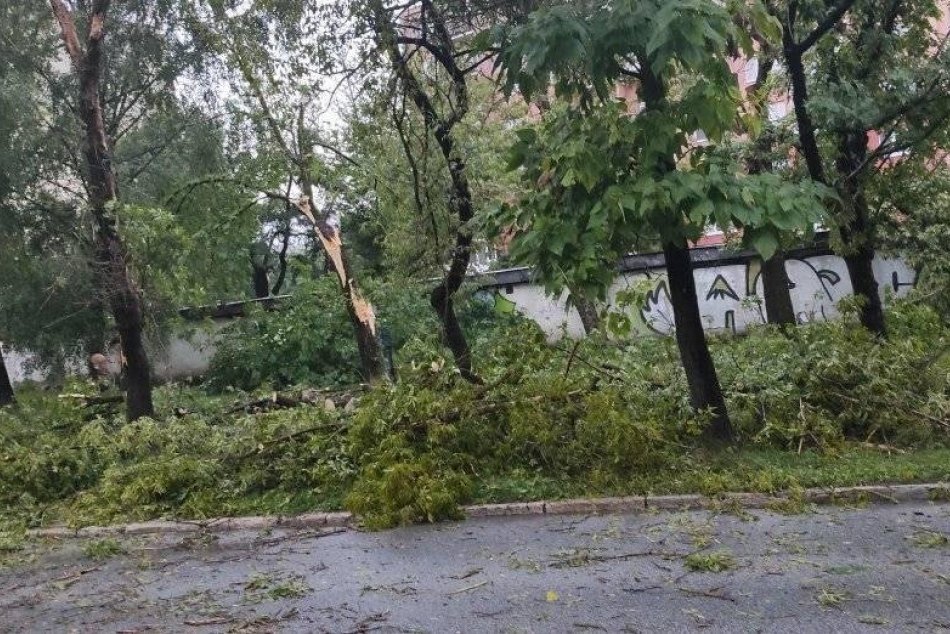 Popadané stromy po silnej búrke v Košiciach