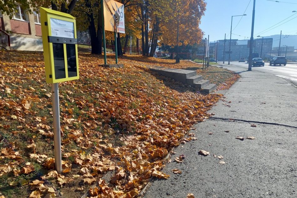 V OBRAZOCH: V Bystrici pribudol hlasovací kôš - "špakovník"