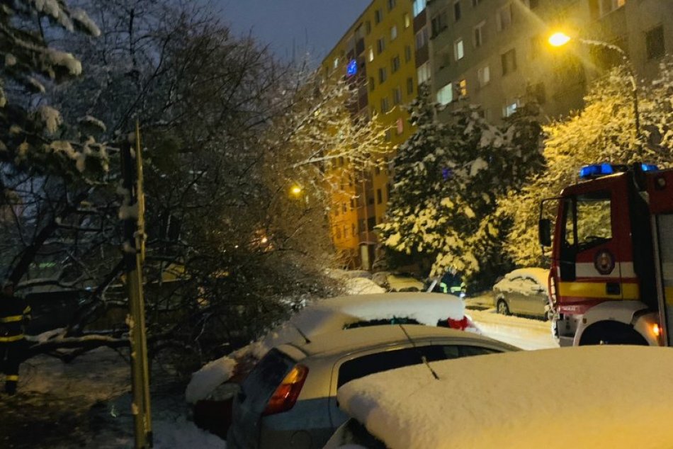 Strom v Petržalke zavalil autá