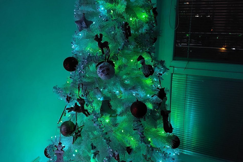 TAKÉTO vianočné stromčeky zdobia domácnosti v Nových Zámkoch