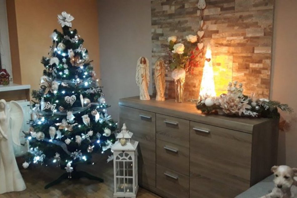 TAKÉTO vianočné stromčeky zdobia domácnosti v Topoľčanoch