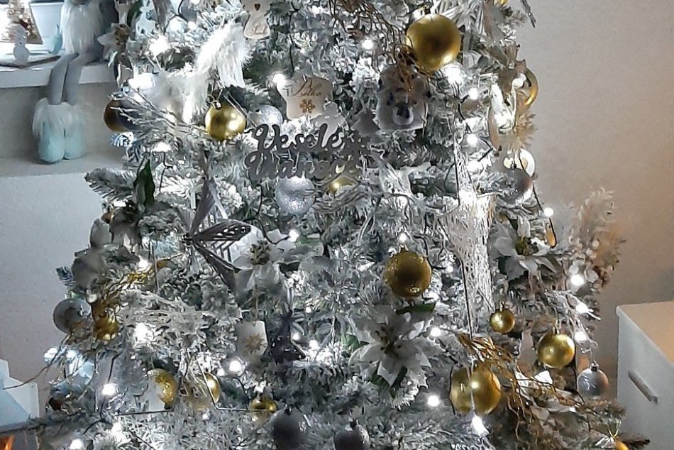 TAKÉTO vianočné stromčeky zdobia domácnosti v Zlatých Moravciach