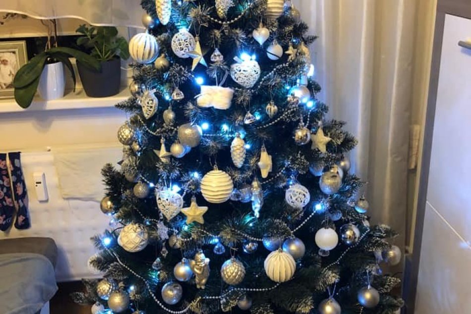 V OBRAZOCH: Takto žiaria vianočné stromčeky Bystričanov