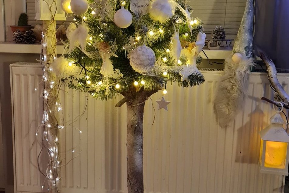 V OBRAZOCH: Takto žiaria vianočné stromčeky Zvolenčanov