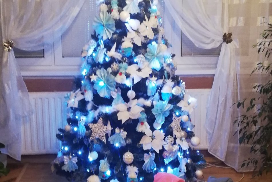 Vianočné stromčeky v domácnostiach Humenčanov