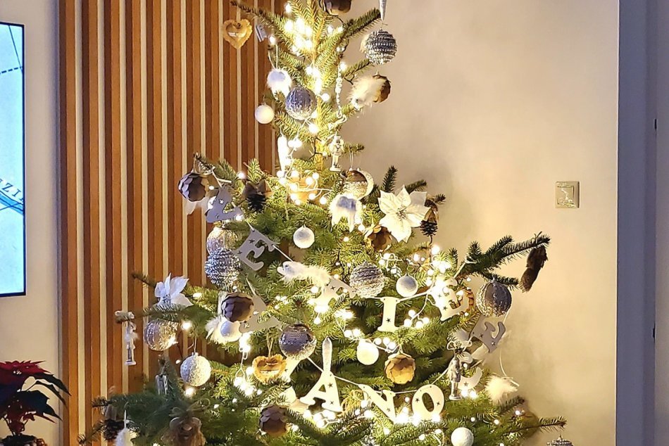 Vianočné stromčeky v košických domácnostiach
