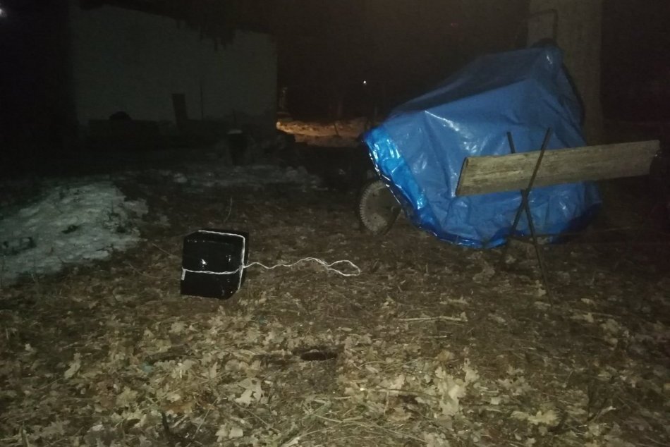 Kuriózna situácia pri hranici s Ukrajinou: Na strom doleteli cigarety