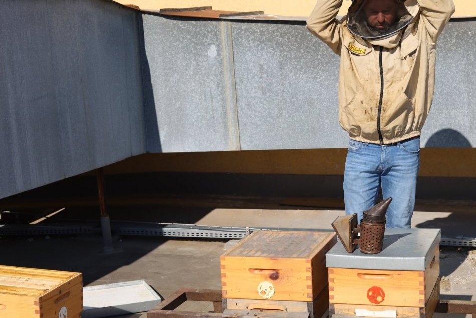 Na streche Starého divadla Karola Spišáka pribudli dva úle