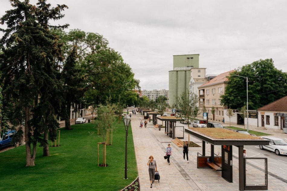 OBRAZOM: Zrekonštruovaný Zelený kríček