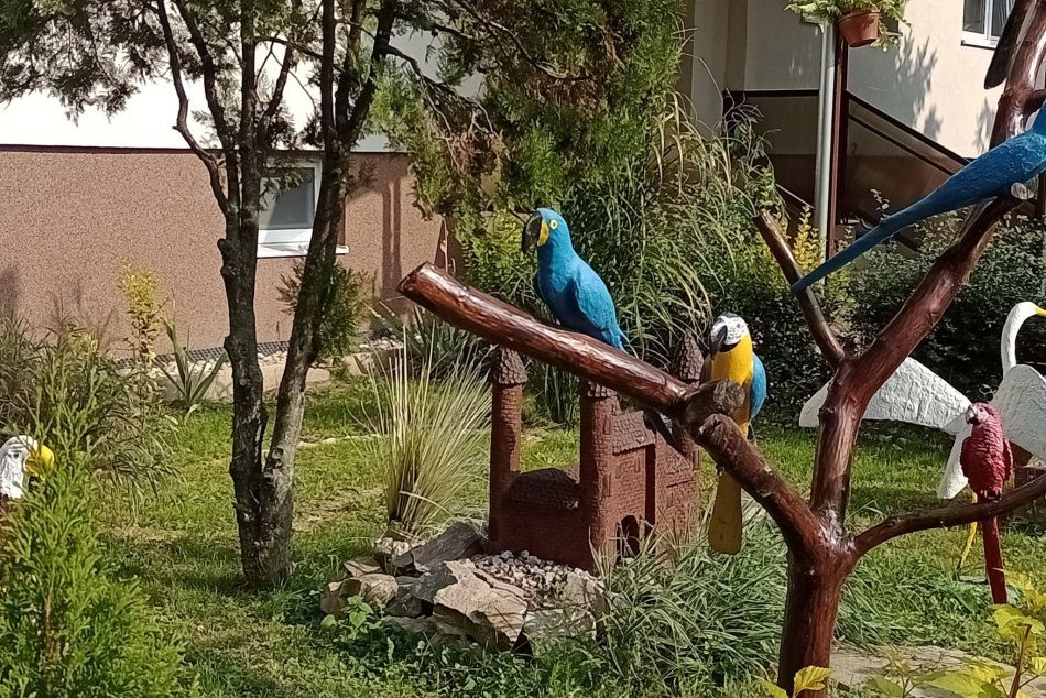 TOP predzáhradky v Topoľčanoch 2022