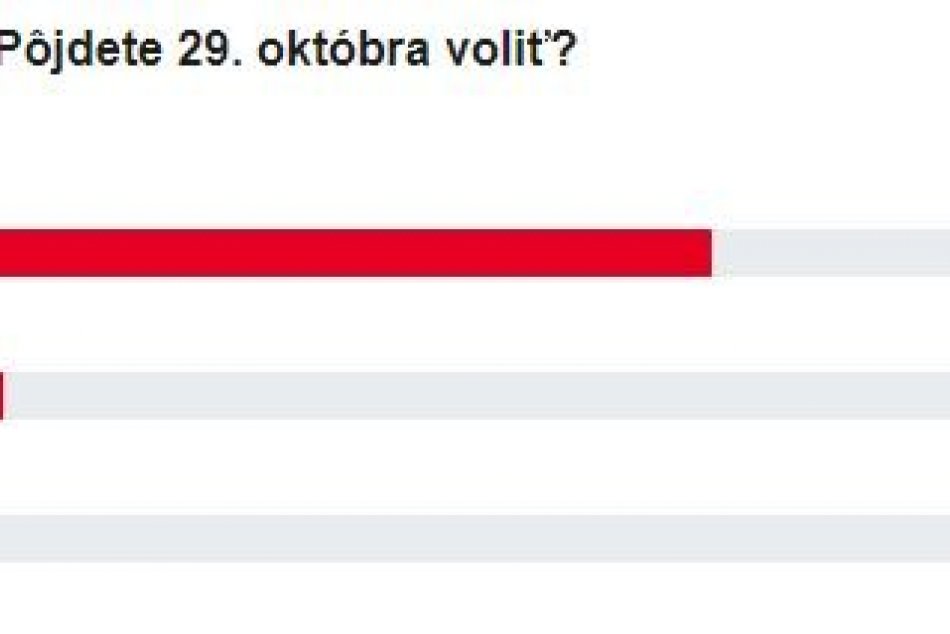 Výsledky HLASOVANIA: Brezňania, pôjdete 29. októbra voliť?