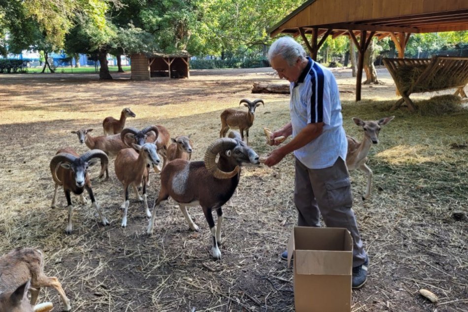 Osemdesiatnik Jozef sa desaťročia stará o zvieratká v parku