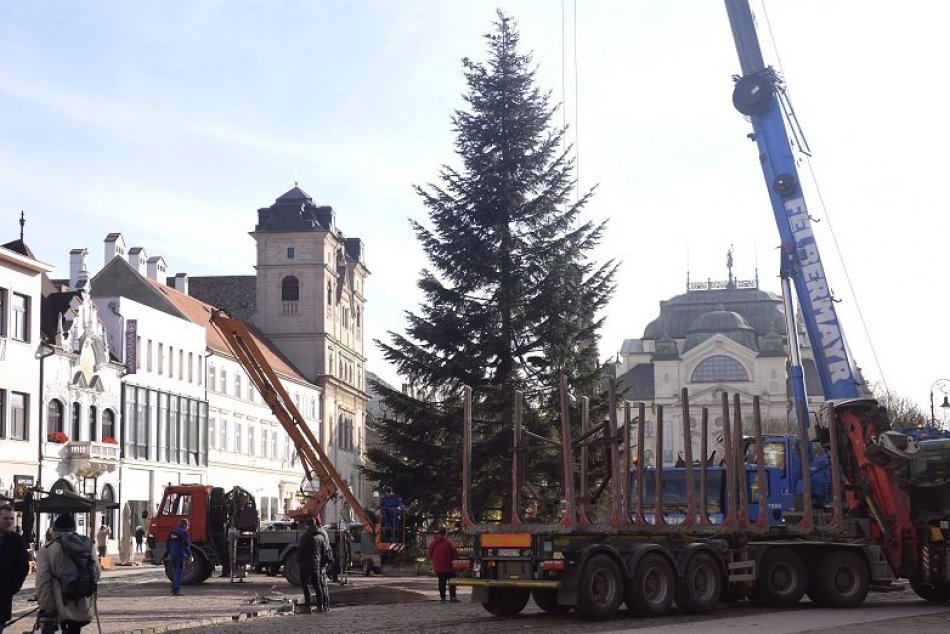Vianočný strom v Košiciach 21. novembra 2022 na Hlavnej ulici, ktorý pochádza z 