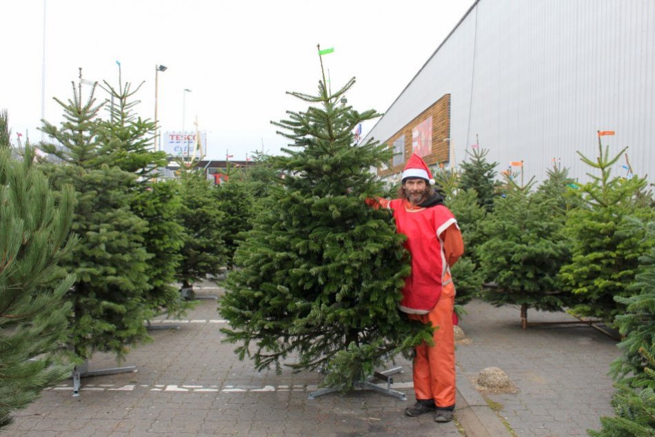 V OBRAZOCH: Vianočné stromčeky nakúpite v Bystrici na viacerých miestach