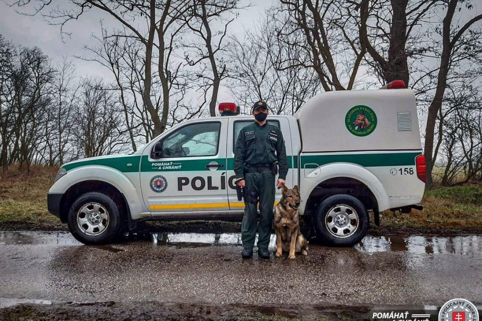 Uhynul policajný pes MACO