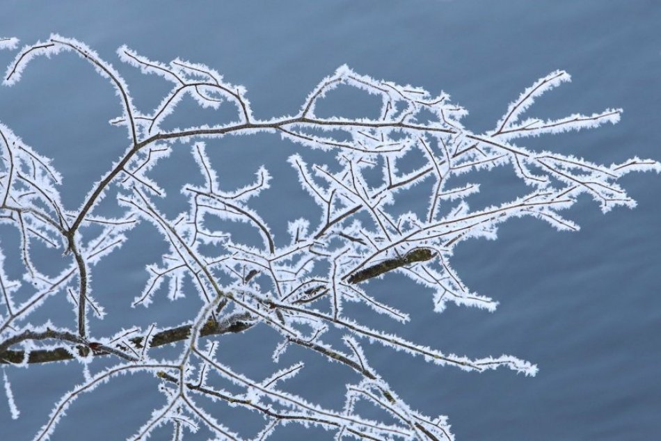 V OBRAZOCH: Zamrznutá príroda po nočných mrazoch vo Zvolene