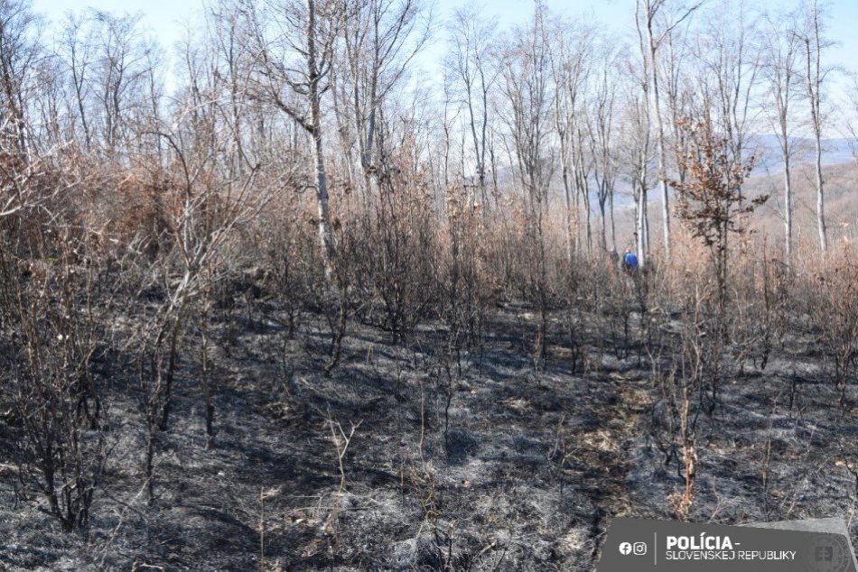 V OBRAZOCH: Vypaľovaním suchej trávy vznikol veľký požiar