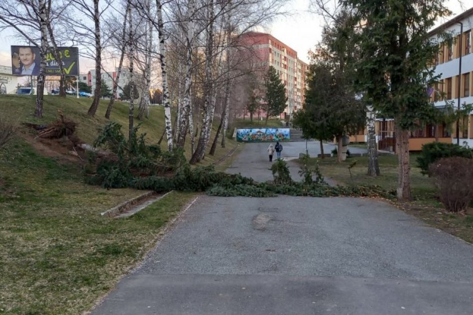 Objektívom: Silný vietor v Levoči vyvracal stromy, spadli aj na cintorín