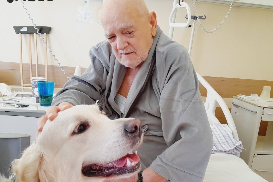 Terapeutický pes v nemocnici Zlaté Moravce