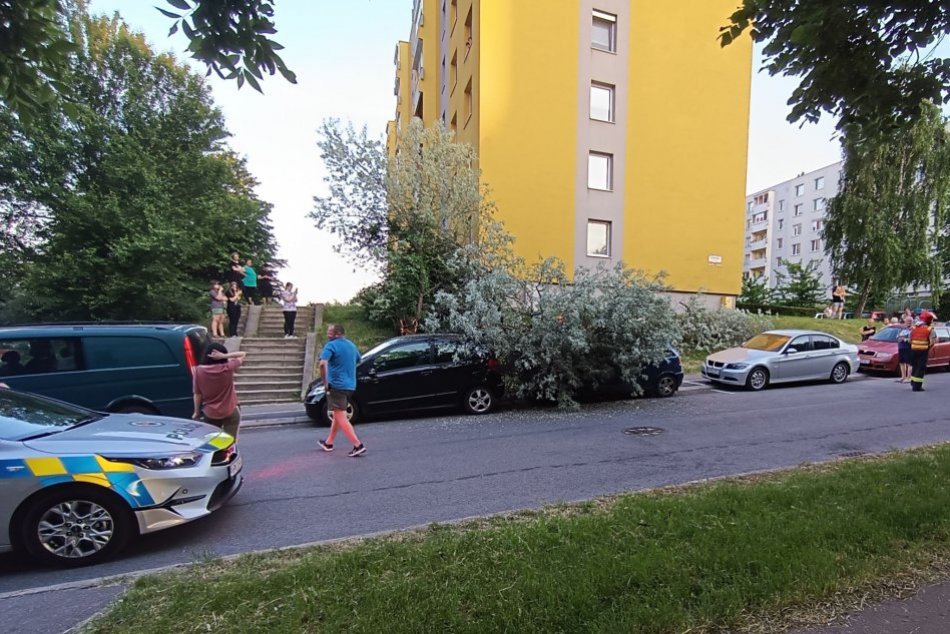 Zlomený strom spadol v Nitre na autá